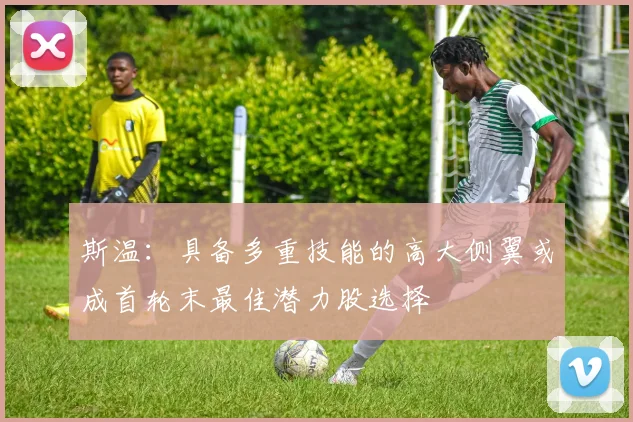 斯温：具备多重技能的高大侧翼或成首轮末最佳潜力股选择
